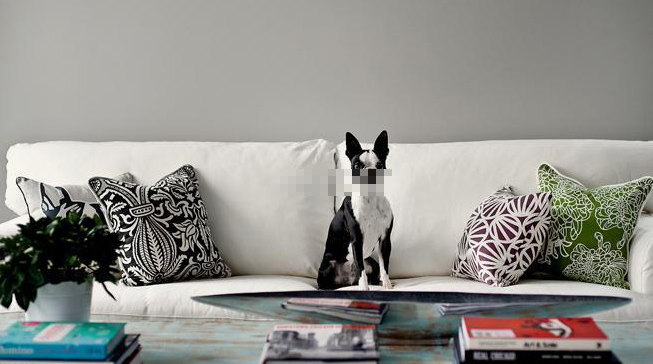 沙发要怎样的摆放最好