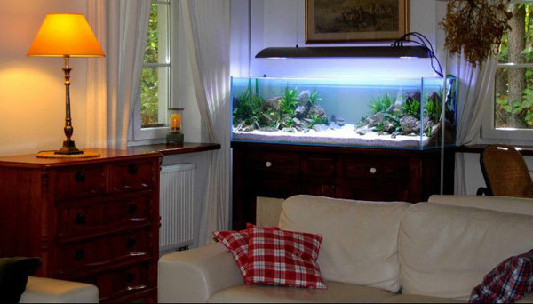 鱼缸摆放风水