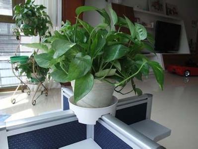 上班族必读:办公室座位安排的风水禁忌