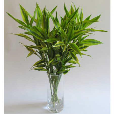 风水术语-风水术语大解读